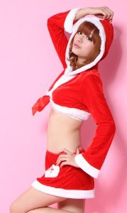 �T���^�R�X�`���[�� �N���X�}�X�R�X�`���[�� �R�X�v��