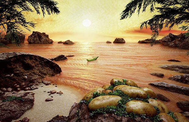 食べ物アート サーモンの夕焼けの海、じゃがいもの岩