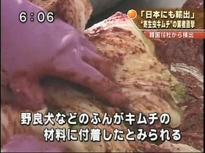 「日本にも輸出」“寄生虫キムチ”の著者直撃 韓国16社から検出―野良犬などのふんがキムチの材料に付着したとみられる