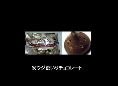汚染されすぎている韓国産食品:ウジ虫入りチョコレート