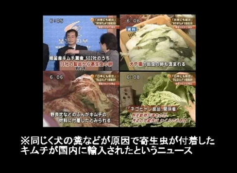 汚染されすぎている韓国産食品:犬の糞などが原因で寄生虫が付着したキムチが日本国内に輸入されたというニュース